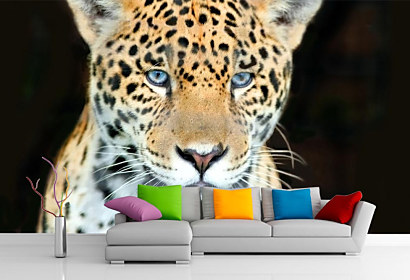 Fototapeta Leopard